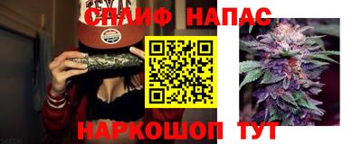 спиды Бийск